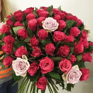60 cyklamenových ruží